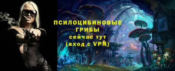 гидра Богданович