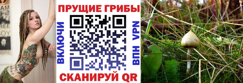 Псилоцибиновые грибы MAGIC MUSHROOMS  Демидов 